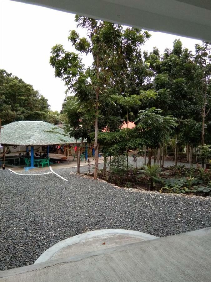 Happy Bear Moalboal Traditional Hut Exterior photo